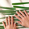 Herbaltree Manicure<br>&nbsp;